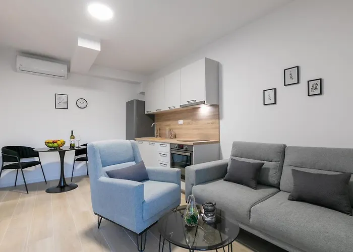 Vidovic 奥瑞比克